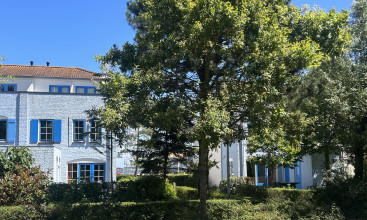 Port Zelande