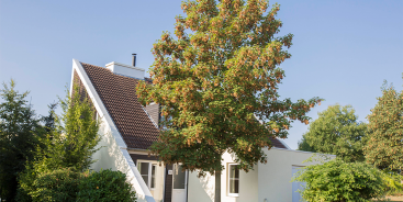 Center Parcs Park Hochsauerland Resales Cottages